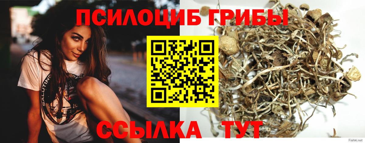Псилоцибиновые грибы прущие грибы  Вход с VPN  Галлюциногенные грибы ЛСД  Фурманов 
